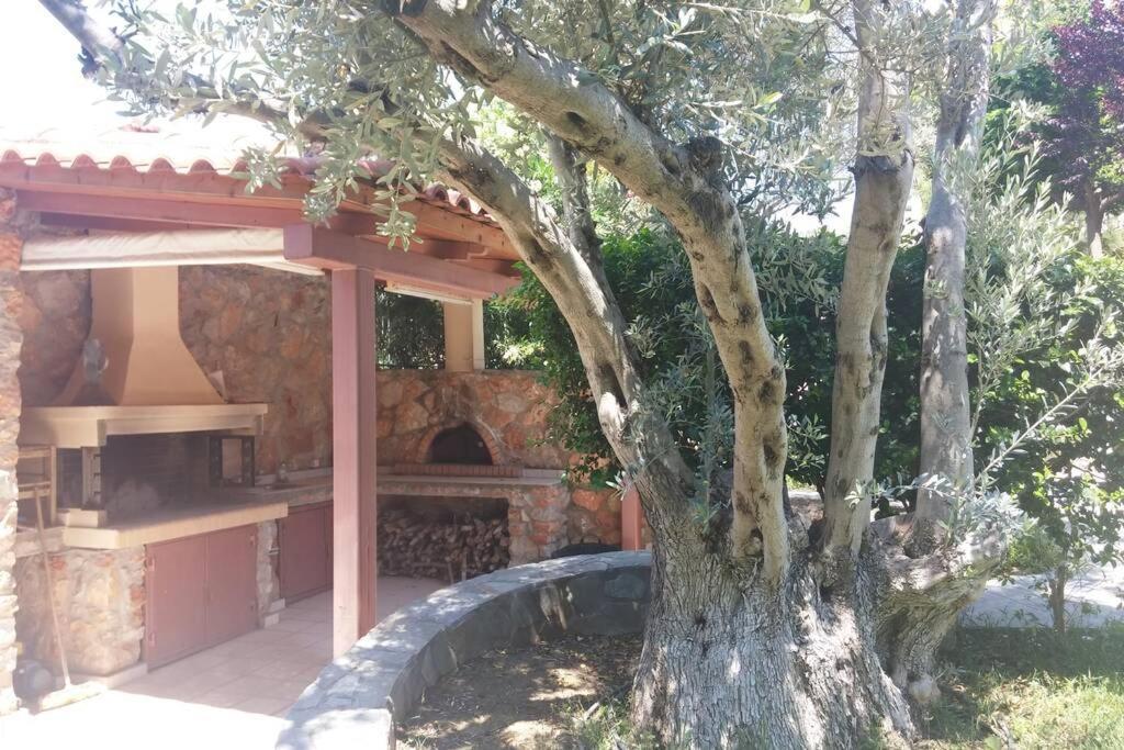 Seaside Villa Andronikos Амаринтос Экстерьер фото