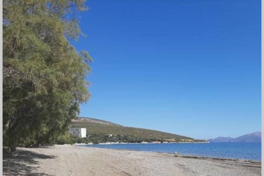Seaside Villa Andronikos Амаринтос Экстерьер фото