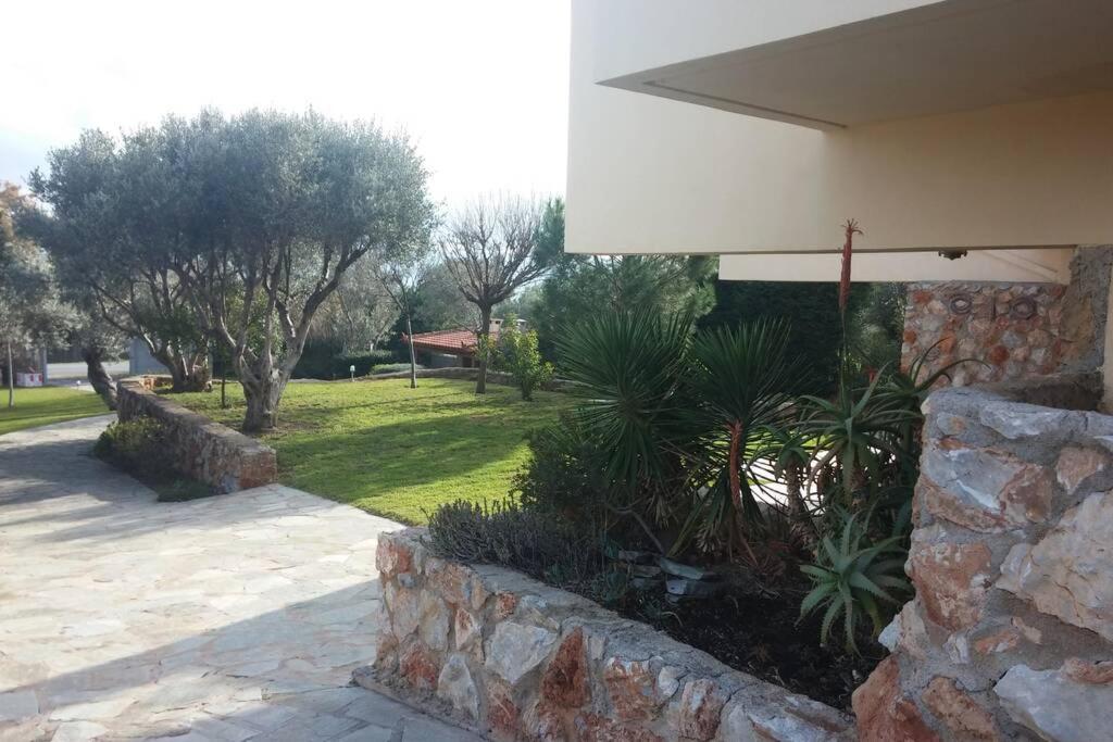 Seaside Villa Andronikos Амаринтос Экстерьер фото
