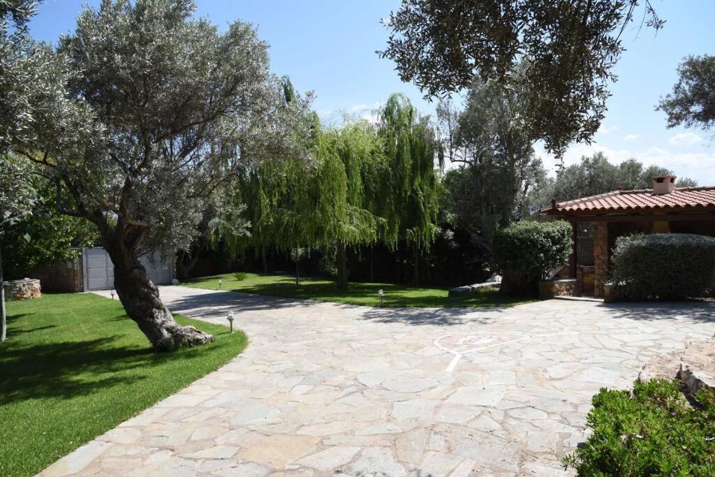 Seaside Villa Andronikos Амаринтос Экстерьер фото