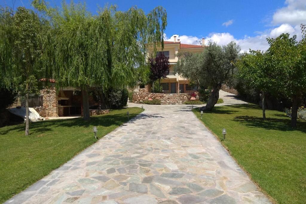 Seaside Villa Andronikos Амаринтос Экстерьер фото