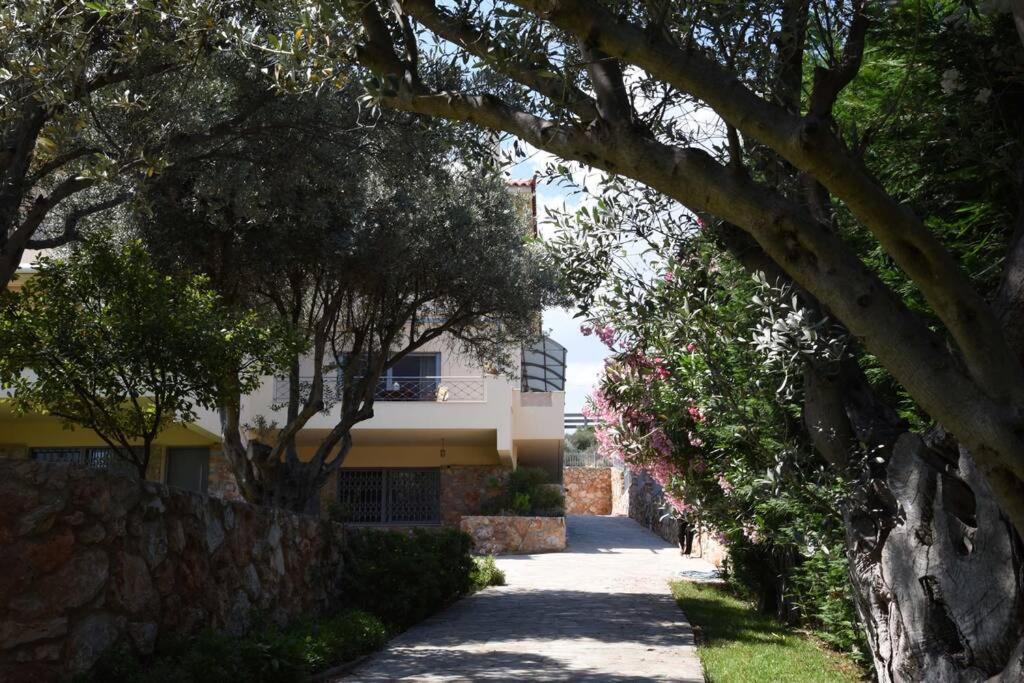 Seaside Villa Andronikos Амаринтос Экстерьер фото