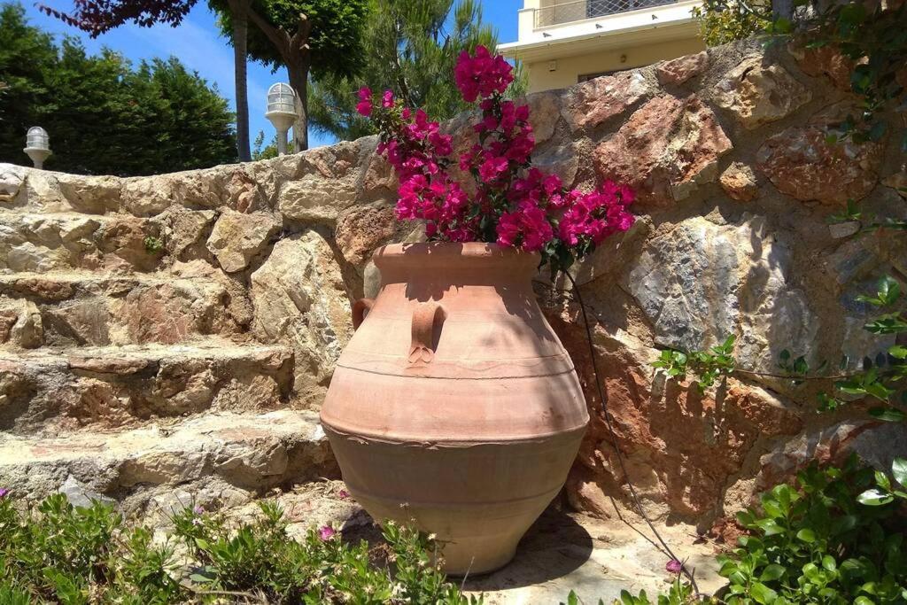 Seaside Villa Andronikos Амаринтос Экстерьер фото