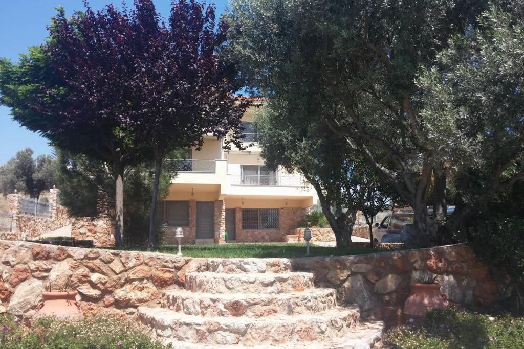 Seaside Villa Andronikos Амаринтос Экстерьер фото