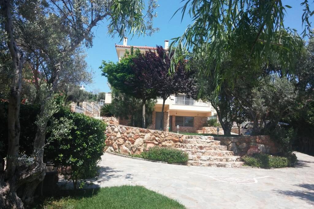 Seaside Villa Andronikos Амаринтос Экстерьер фото