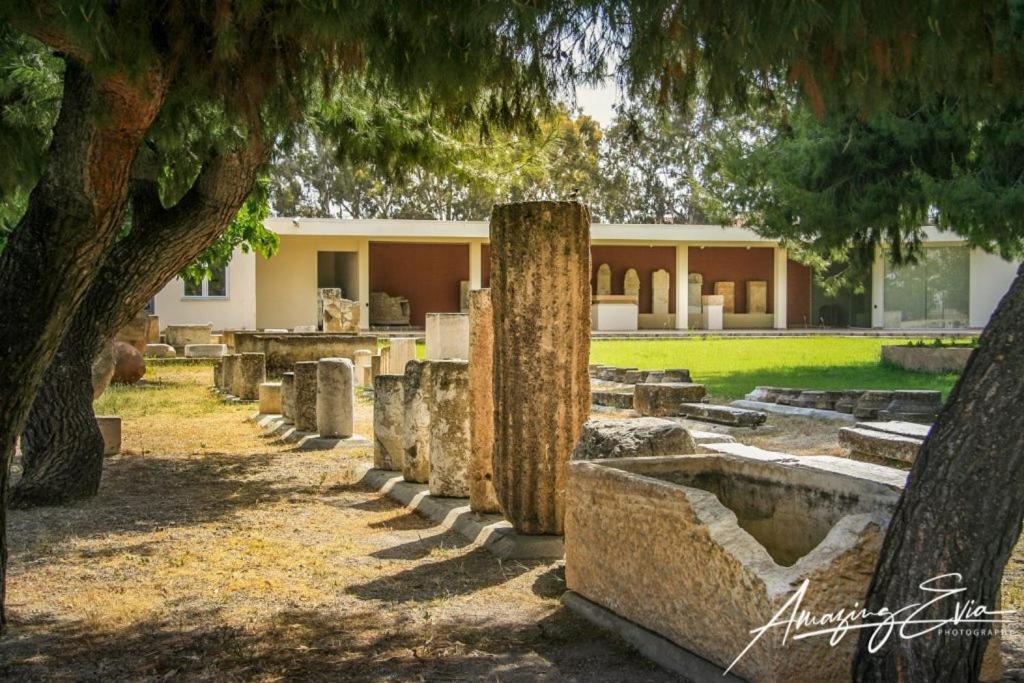 Seaside Villa Andronikos Амаринтос Экстерьер фото