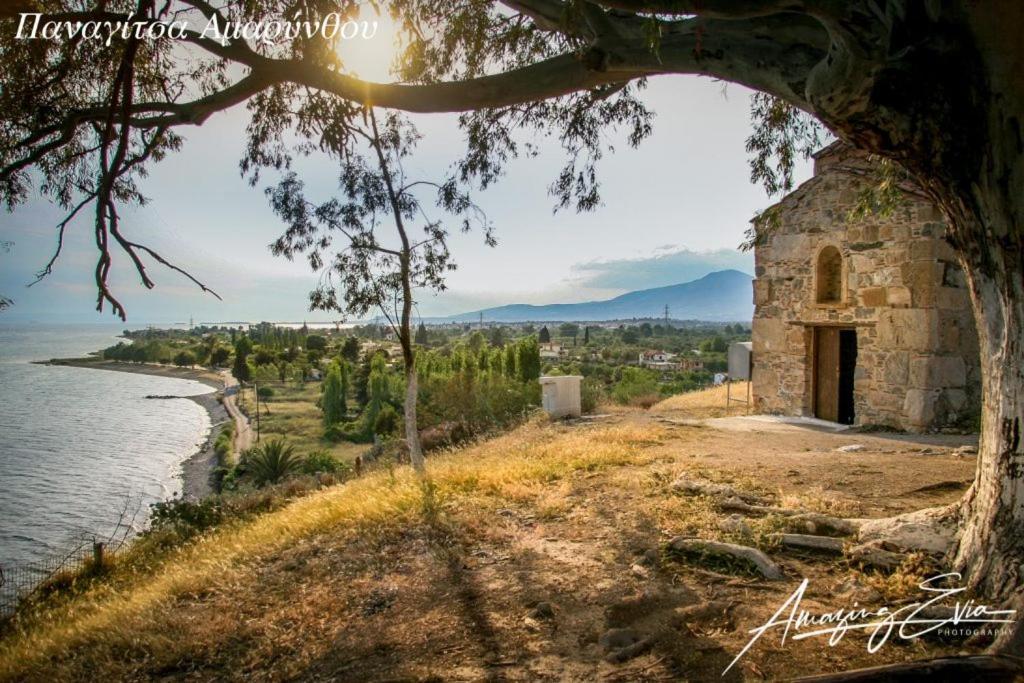 Seaside Villa Andronikos Амаринтос Экстерьер фото